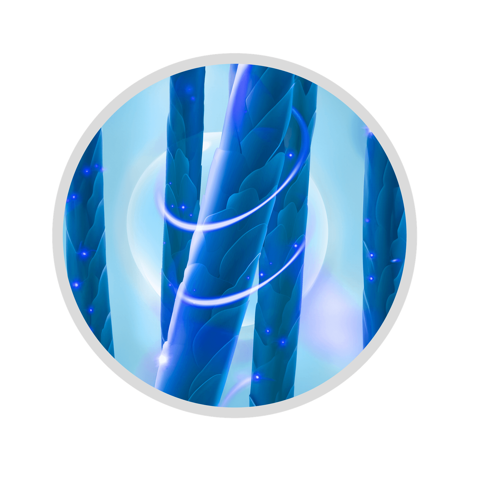 Icone-01-1-1.png