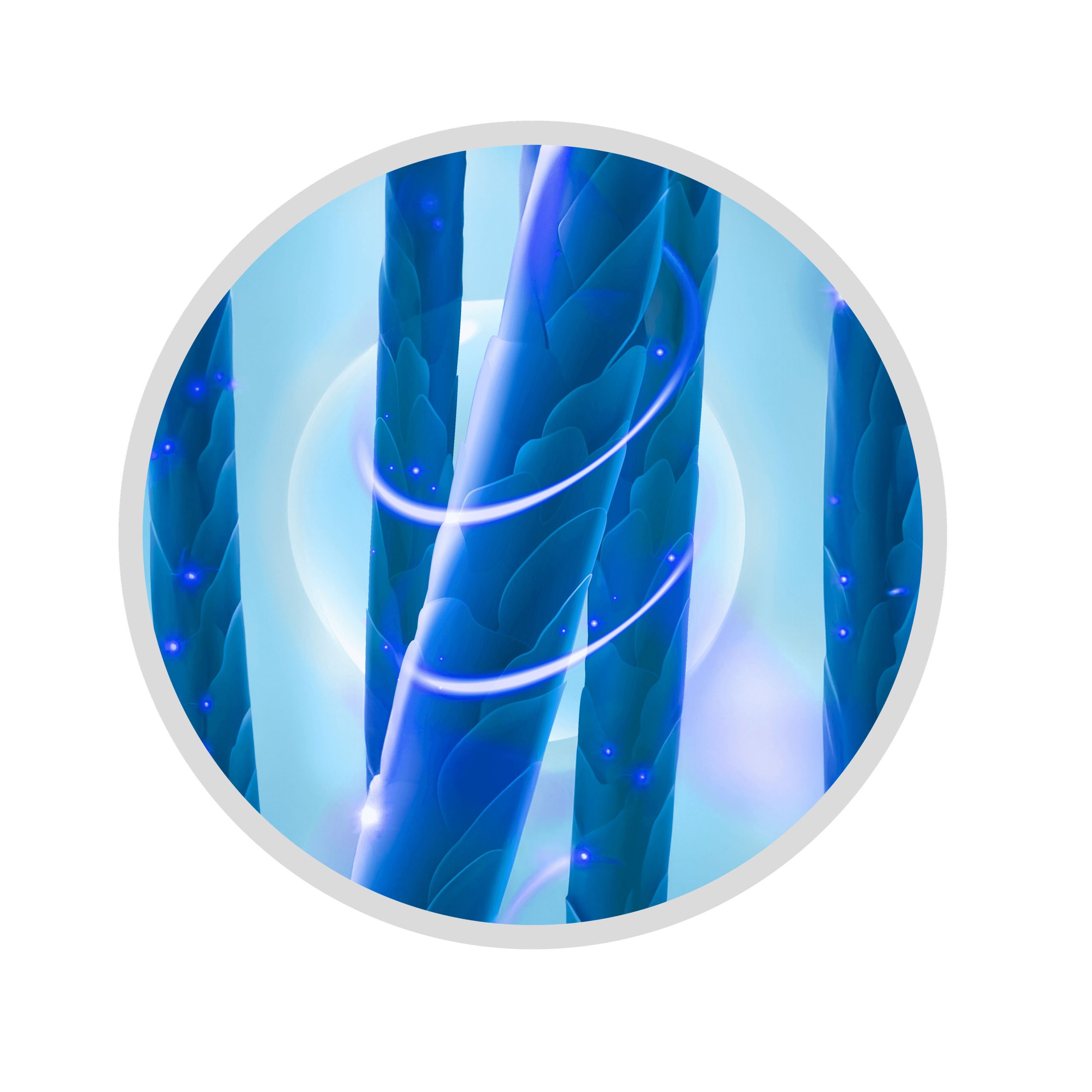 Icone-01-1.png