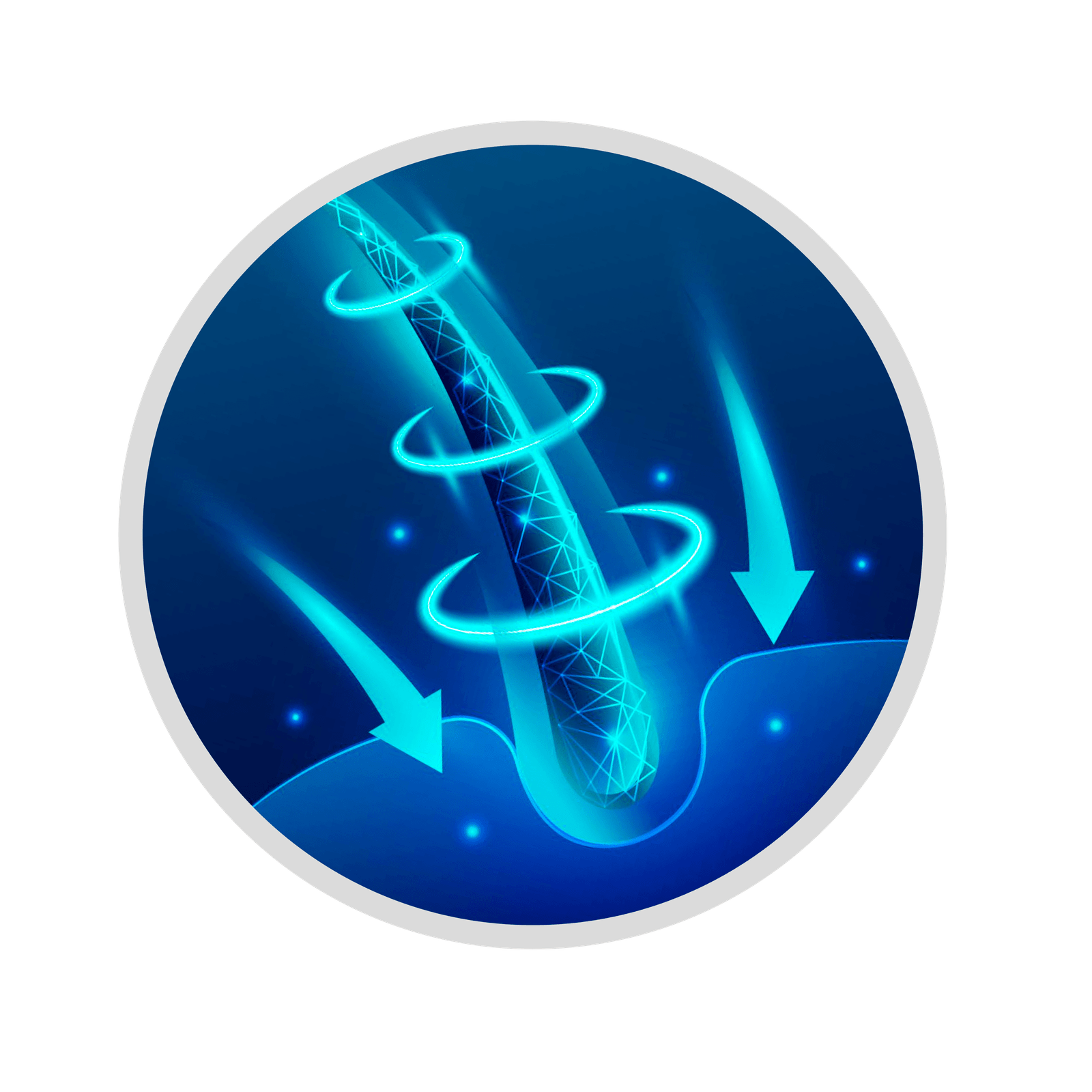 Icone-02-1-1.png